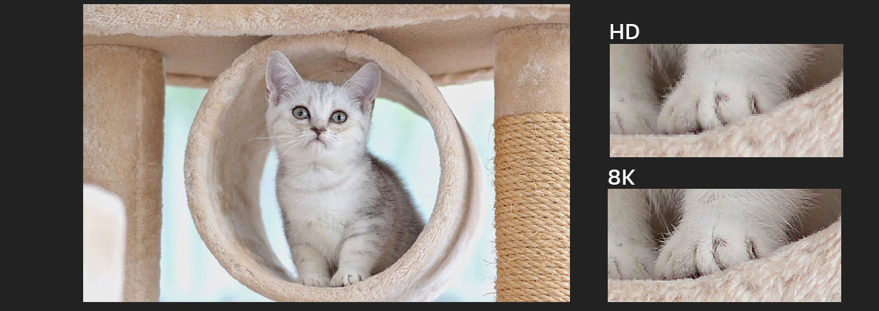 image for this item